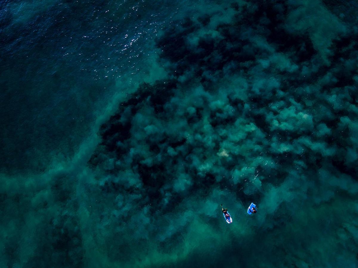 Sava Dunes ميرامار المظهر الخارجي الصورة